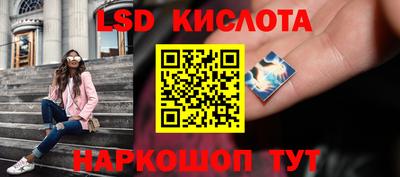 герыч Кингисепп
