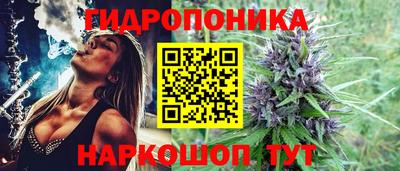 герыч Кингисепп