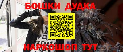 индика Кинель