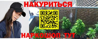 индика Кинель