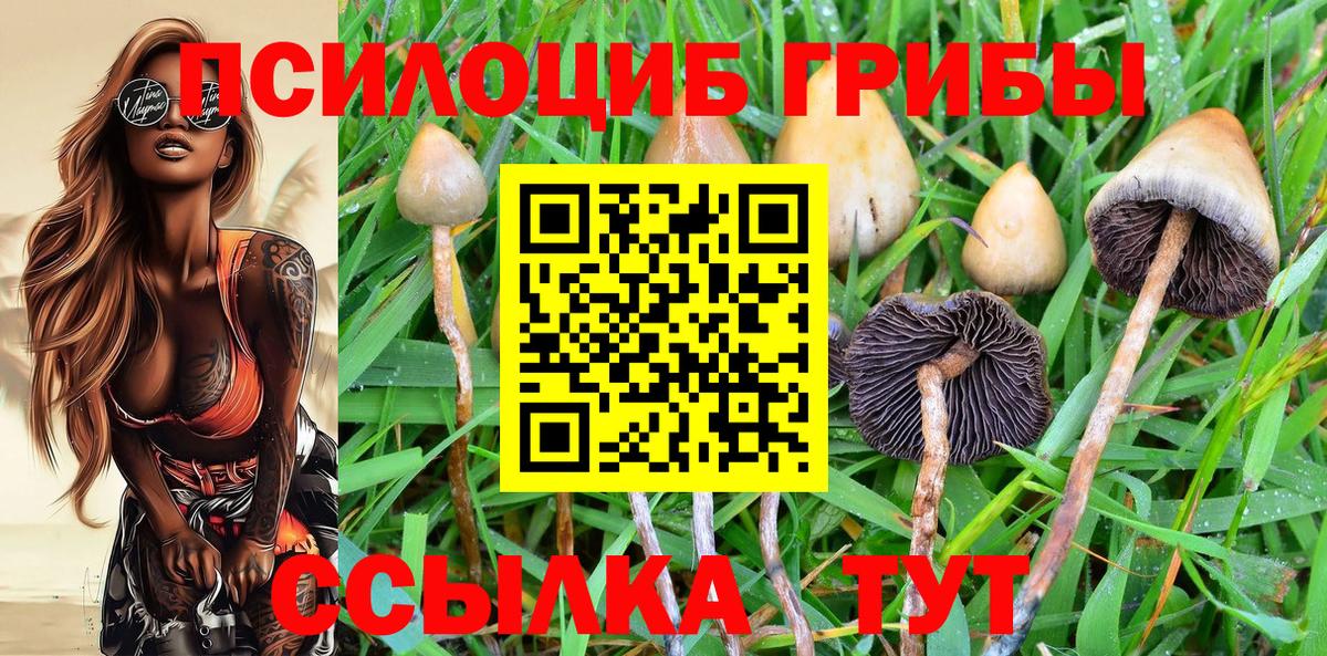 Красноярск  Псилоцибиновые грибы мухоморы  Вход с VPN 
