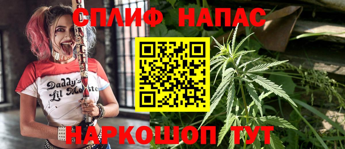 Бошки Шишки план Красноярск